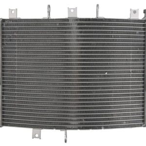 Radiator Kawasaki ZX10R 1000 2006-2007